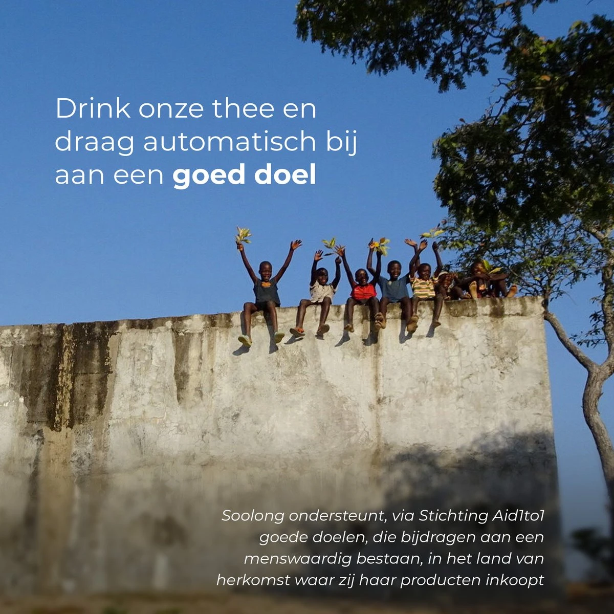 Soolong Teamaker - Theemaker - Theepot - Ice Tea Maker- 400ml - 1stuks 4 Soolong Teamaker - Theemaker - Theepot - Ice Tea Maker- 400ml - 1stuks - Afbeelding 2