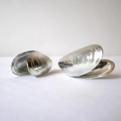 Het Zeeuws Mosselbestek 30 Het Zeeuws Mosselbestek -Keuken Benodigdheden Winkel 1200x1200 53