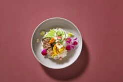 Palmer Serviesset Sandy Loam Stoneware 6-persoons 24-delig Grijs 30 Palmer Serviesset Sandy Loam Stoneware 6-persoons 24-delig Grijs -Keuken Benodigdheden Winkel 1200x800 322