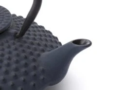 Bredemeijer - Theepot Xilin 1,25L Gietijzer Blauw -Keuken Benodigdheden Winkel 1200x900 197