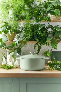 Tefal LOV Braadpan - 5L - Ø25 Cm - Groen 25 Tefal LOV Braadpan - 5L - Ø25 Cm - Groen -Keuken Benodigdheden Winkel 800x1200 30