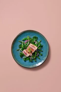 Palmer Serviesset Lotus Stoneware 6-persoons 24-delig Zwart Turquoise 25 Palmer Serviesset Lotus Stoneware 6-persoons 24-delig Zwart Turquoise -Keuken Benodigdheden Winkel 801x1200 19