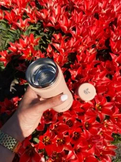 Retulp - Tumbler Thermosbeker – Champagne Pink – 300 Ml - Thermosfles - Roze 17 Retulp - Tumbler Thermosbeker – Champagne Pink – 300 Ml - Thermosfles - Roze -Keuken Benodigdheden Winkel 899x1200 17